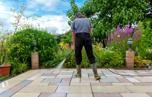 Professional Pressure Washing Services in Cayuga Heights, NY